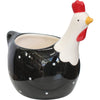 Chooken Planter