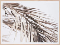 Sunkissed Palms | Framed Art