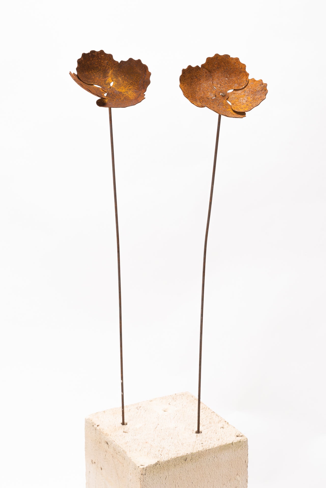 Stake Frilly Flower Rust
