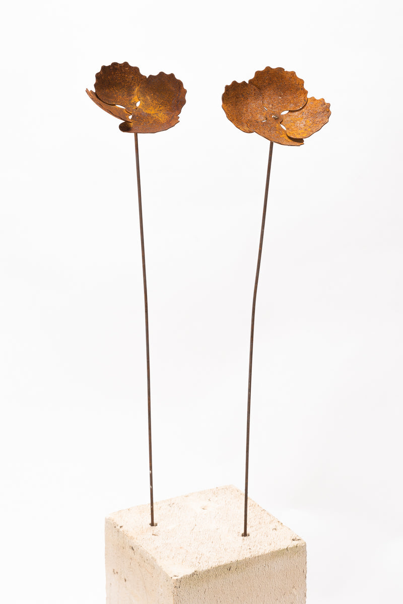 Stake Frilly Flower Rust