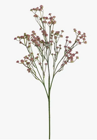 Babys Breath Spray | Pink