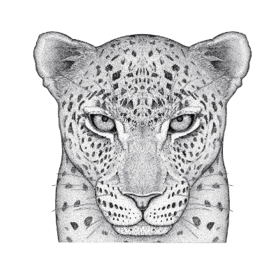 Luca The Leopard Full Face Limited Edition Dot Print