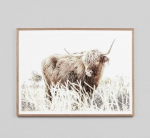 Afternoon Graze | Framed Art