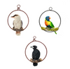 Aussie Birds in a Ring