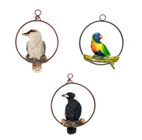Aussie Birds in a Ring