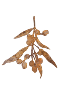 Silhouette Gum Rust Hanging