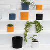 Genoa Planter Pots | Navy