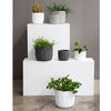 Kasbah Planter Pot |White