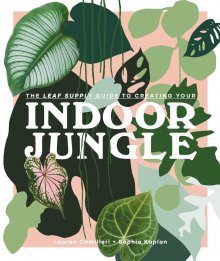 The Leaf Supply Guide To Creating Your Indoor Jungle By Lauren Camilleri and Sophia Kaplan