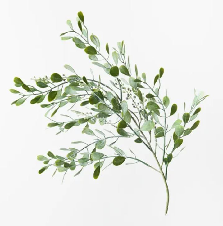 Boxwood Berry Spray |Grey Green