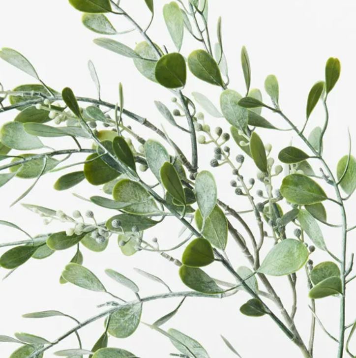 Boxwood Berry Spray | Grey Green