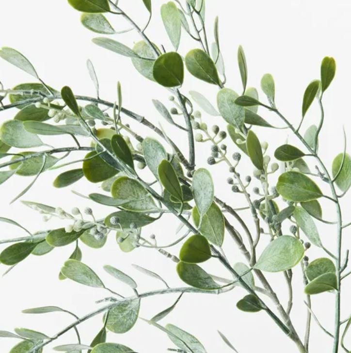 Boxwood Berry Spray |Grey Green