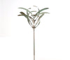 Grevillea Windmill | Wind Spinner on Stake