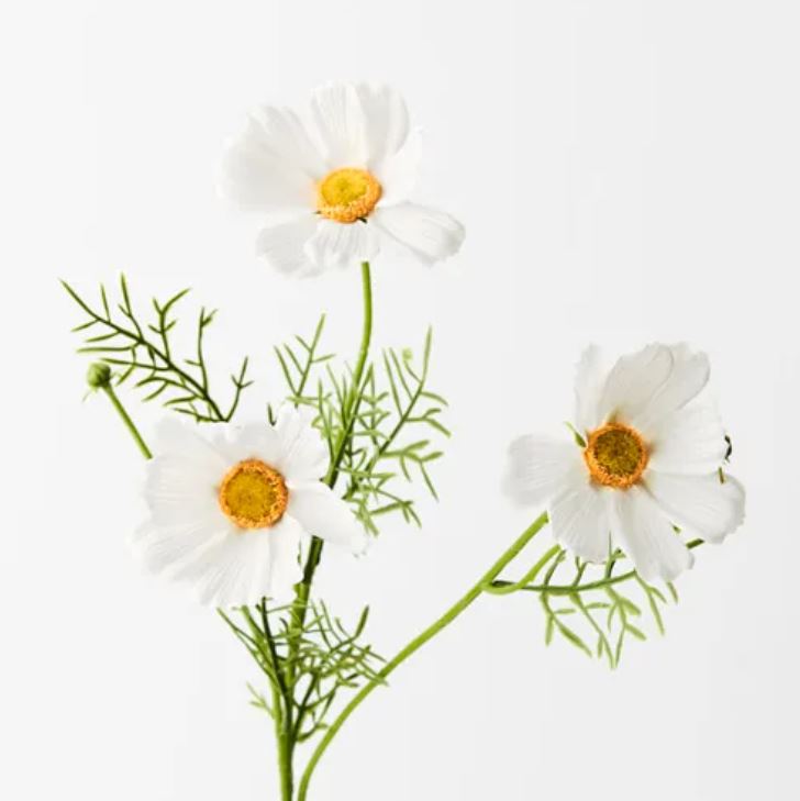 Cosmos Spray | White