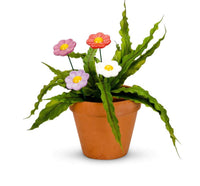 Flower Spike Colour Ceramic