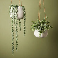 Bowl Iosetta Hanging Planter