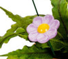 Flower Spike Colour Ceramic
