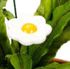 Flower Spike Colour Ceramic