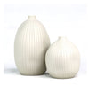 Cucumis Vase | White