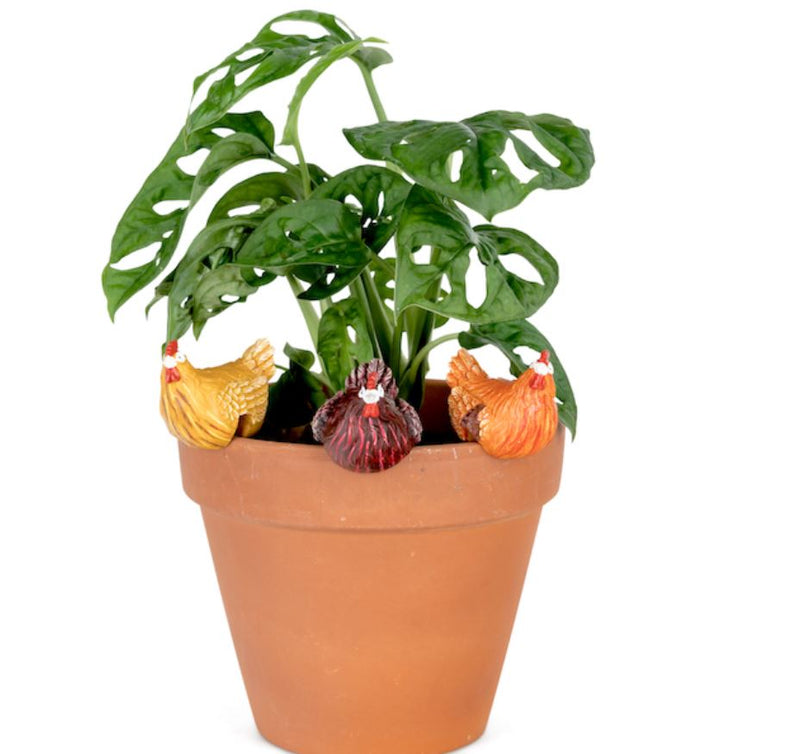 Chicken Pot Sitter | Small