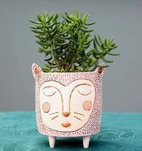 Purrs Cat | Resin Pot Planter