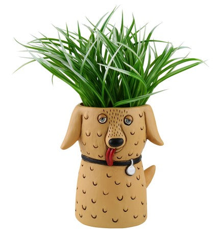 Goldie Dog | Planter Vase | Tall + Short