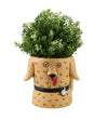 Goldie Dog | Planter Vase | Tall + Short