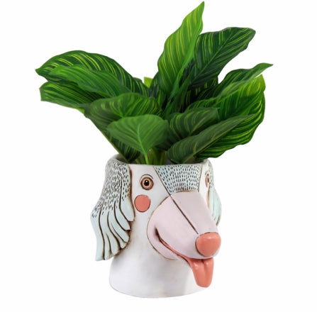 Dog Face Resin | Pot Planter