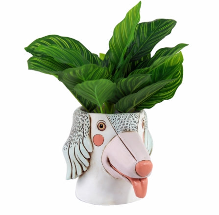 Dog Face Resin | Pot Planter