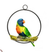 Aussie Birds in a Ring