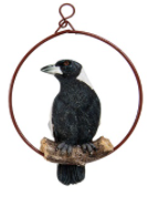 Aussie Birds in a Ring