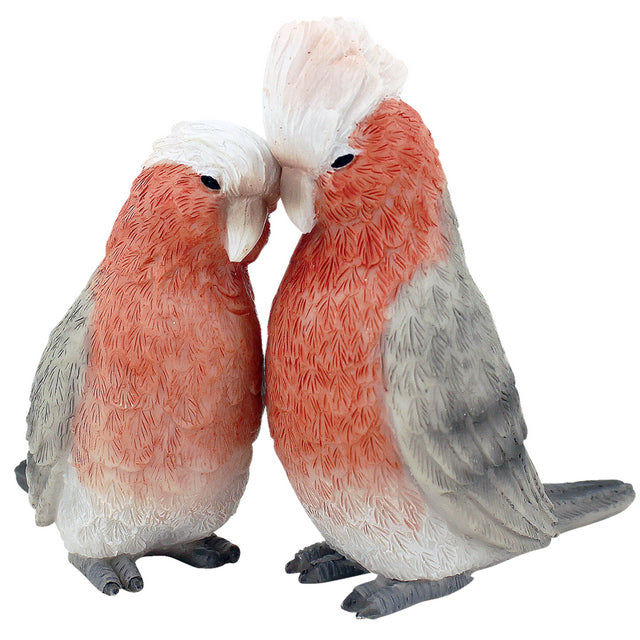 Galah Love | S/2