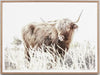 Afternoon Graze | Framed Art