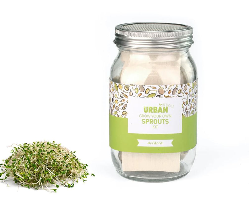 Sprout Jar Grow Kit