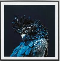 Australian Midnight Cockatoo Black | Framed Print