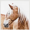 Resting Mare | Horse Framed Print | Oak Frame