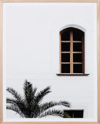 Bavarian Window Palm | Oak Framed Print