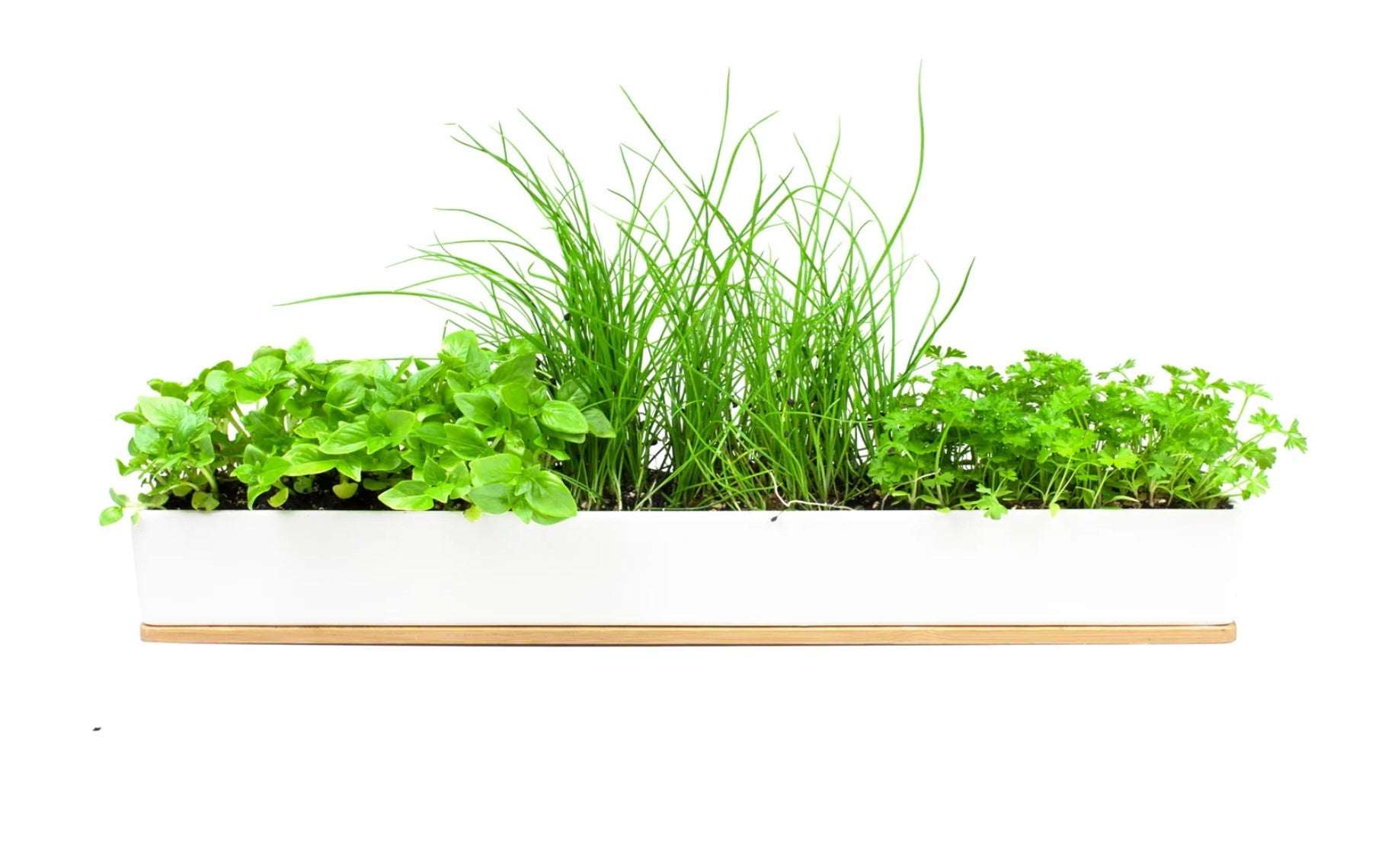 Window Sill Herb Garden Grow Kit