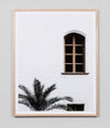 Bavarian Window Palm | Oak Framed Print