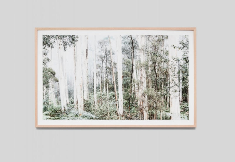 Bush land | Framed Print