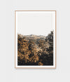 Bushland View | Framed Print