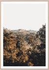 Bushland View | Framed Print
