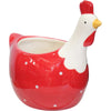 Chooken Planter