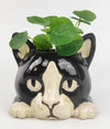 Cat Head Planter Black & White