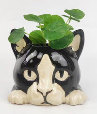 Cat Head Planter Black & White