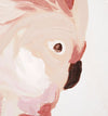 Cockatoo Portrait | Blush