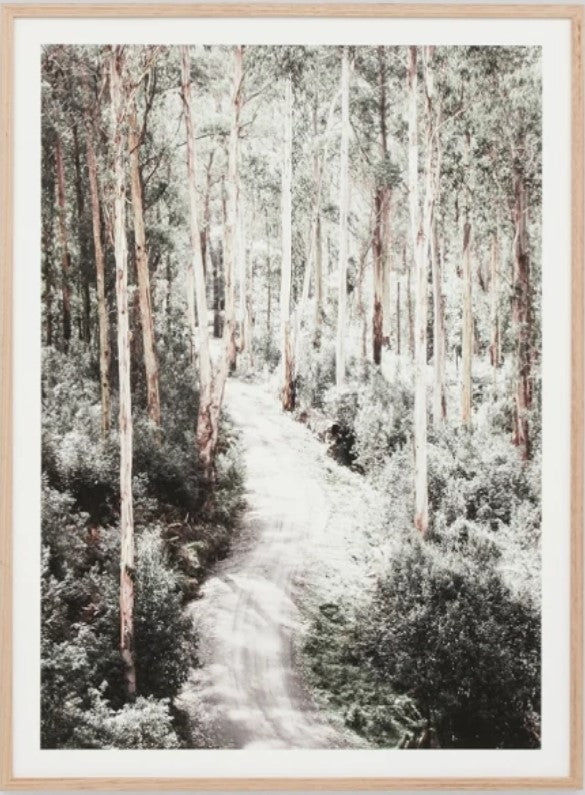 Eucalyptus Trail Bushland | Framed Art