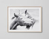 Equine Kiss | Framed Print