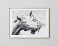 Equine Kiss | Framed Print