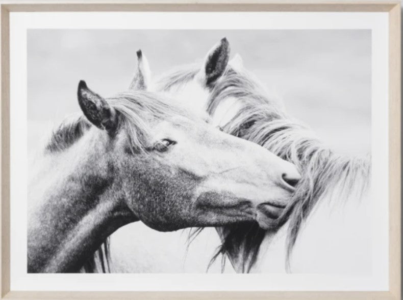 Equine Kiss | Framed Print